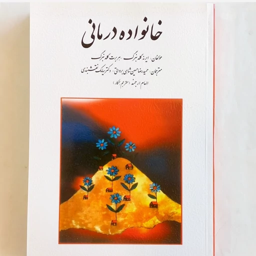 کتاب خانواده درمانی گلدنبرگ، حسین شاهی برواتی